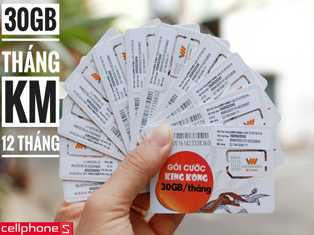 SIM 3G King Kong Vietnamobile 30GB/tháng
