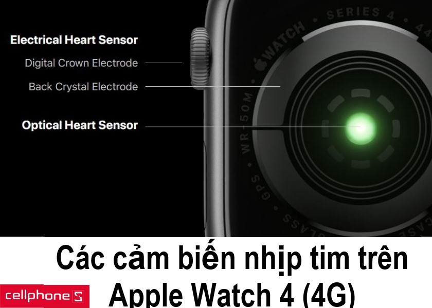 Với hai cảm biến nhịp tim (Electrical Heart Sensor và Optical Heart Sensor), người dùng có thể theo dõi chính xác nhịp tim cũng như tình trạng sức khỏe của mình