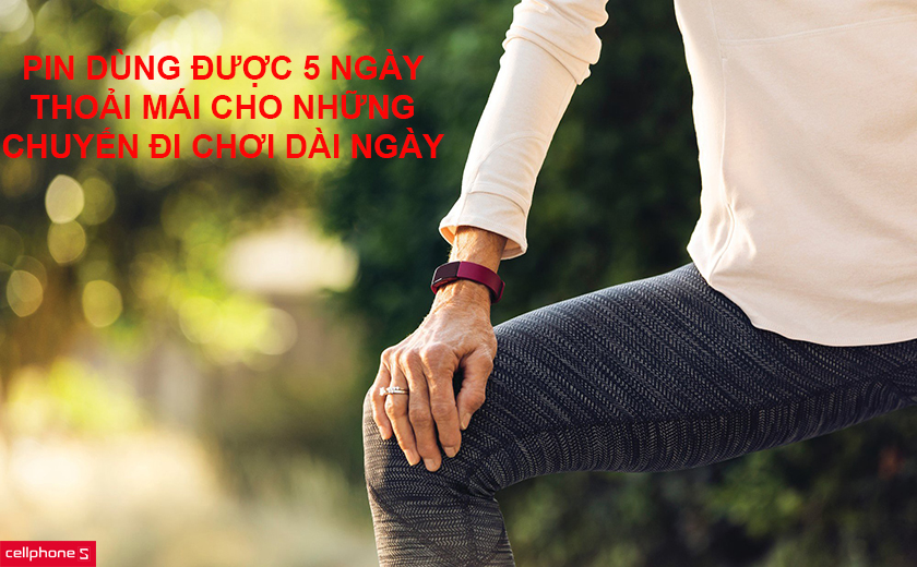 Thời lượng pin “trâu” lên đến 5 ngày