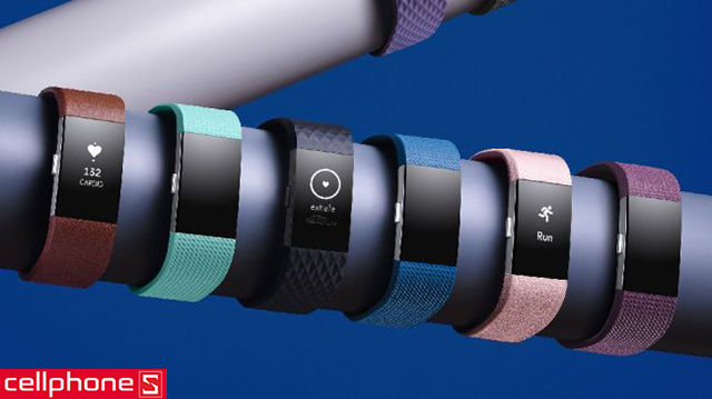 Vòng tay thông minh Fitbit Charge 2 Small
