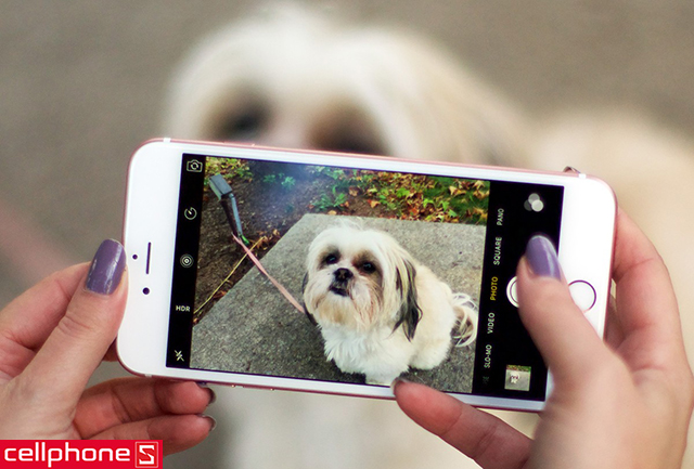 Apple iPhone 6S Plus 16GB Chính hãng, cũ