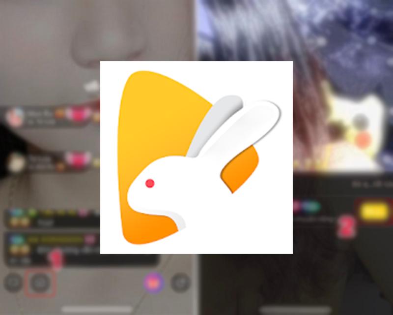 Cách tải Bunny Live về máy tính, điện thoại đơn giản nhất