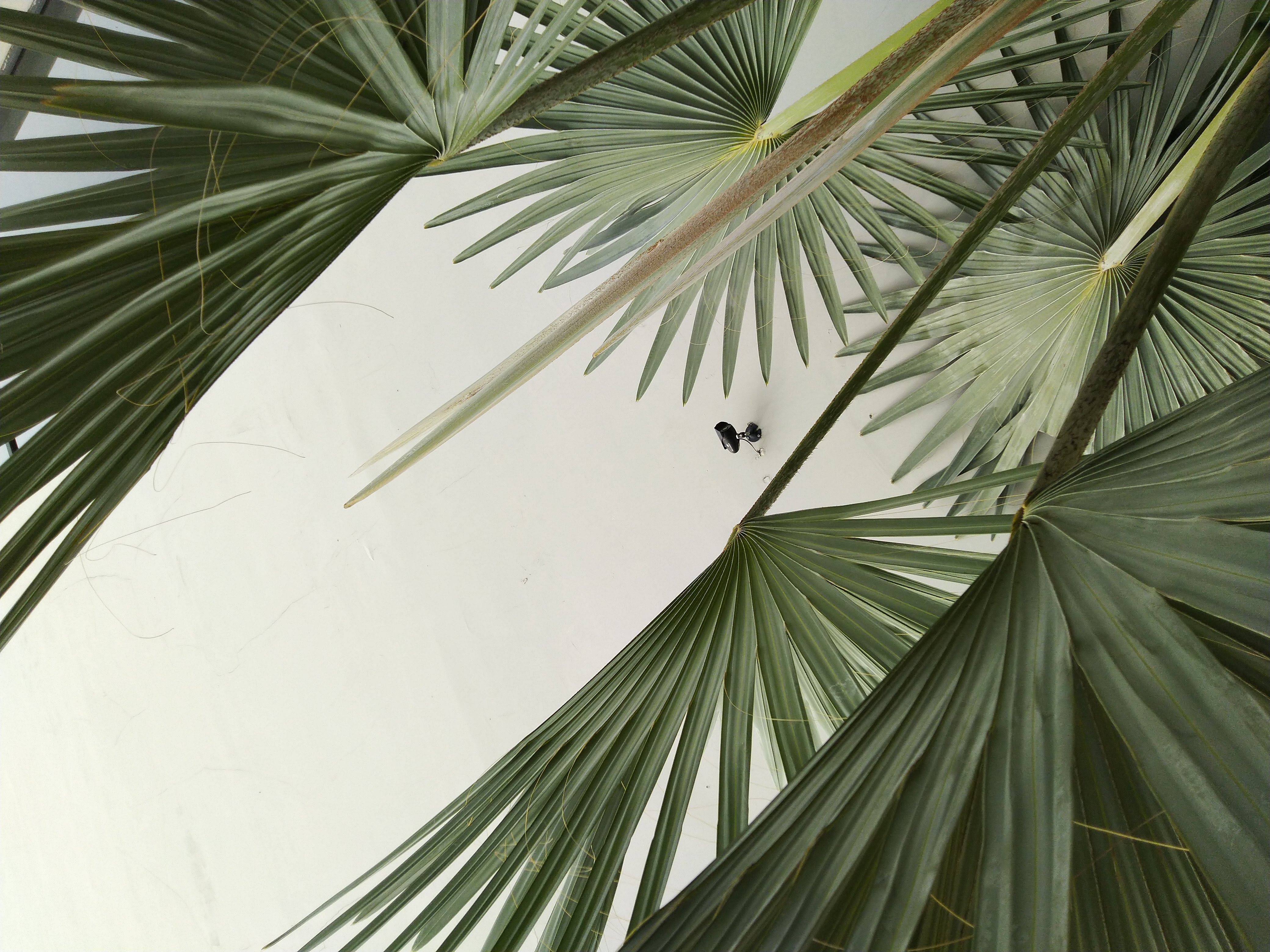 Đánh giá camera Asus Zenfone Max Pro M1, chất lượng ổn với mức giá chỉ hơn 4 triệu đồng