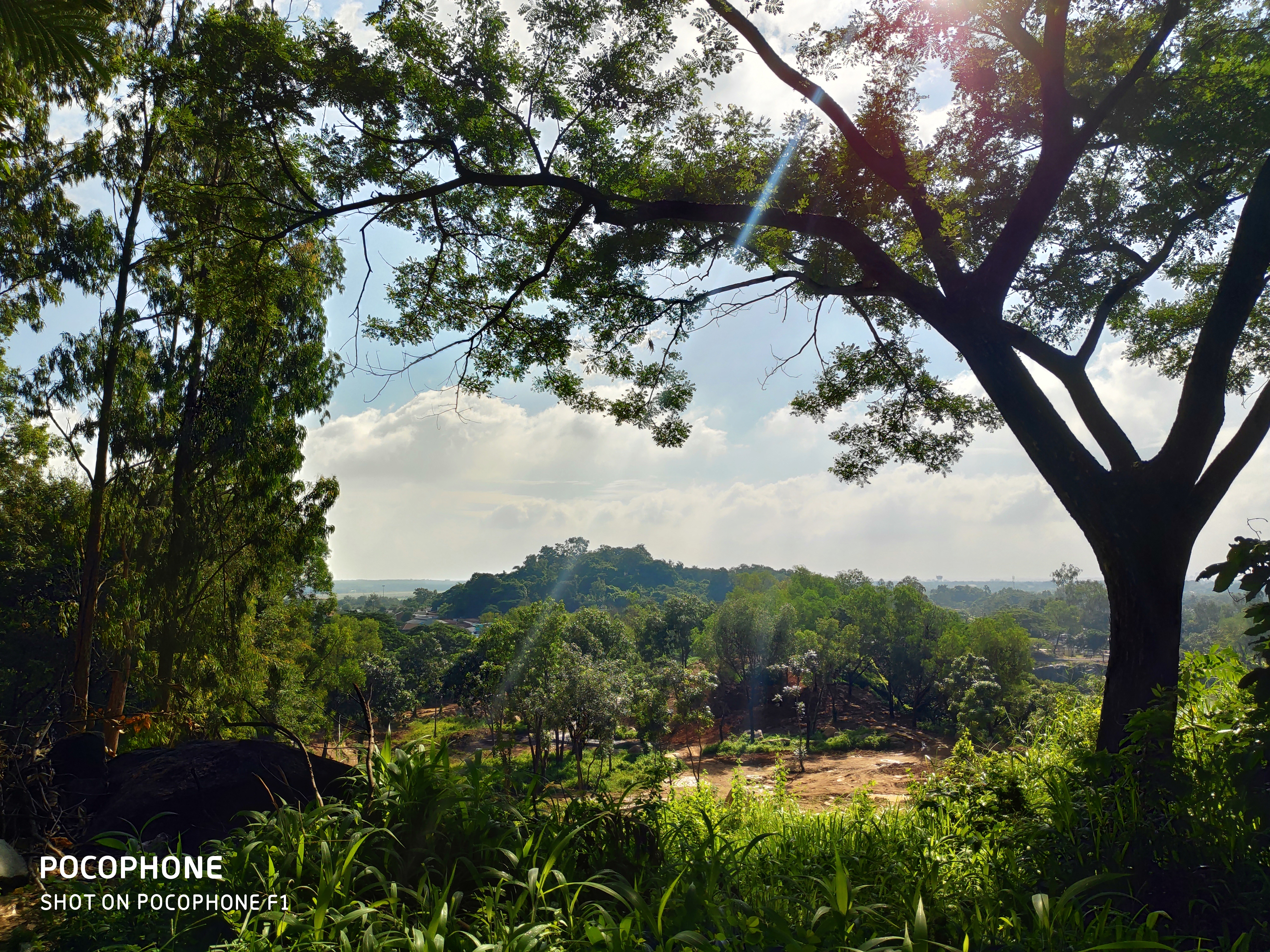 Đánh giá camera Pocophone F1 : Ai bảo gaming phone sẽ chụp tệ?