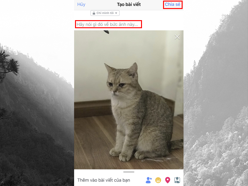 Hãy ghi chú thêm caption rồi bấm Share để đăng ảnh 3D như đăng những bức ảnh 2D trước đây.