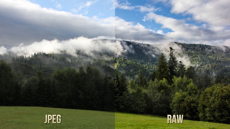 Sự khác biệt giữa ảnh RAW và JPEG.