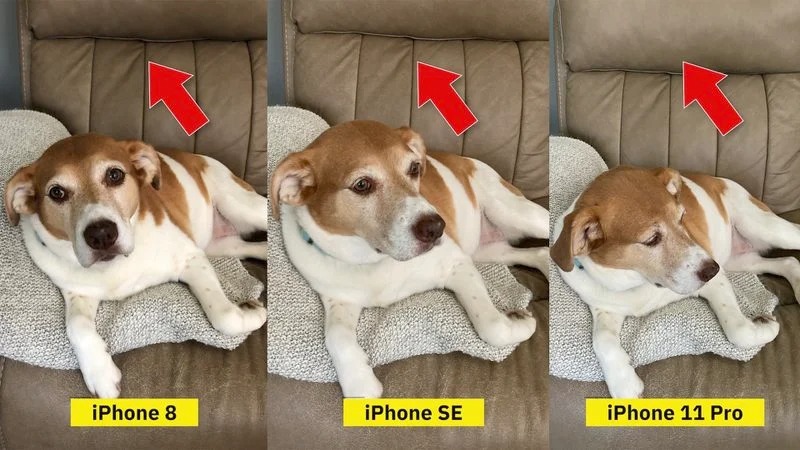 Sforum - Trang thông tin công nghệ mới nhất iphonesestandard3 Đọ camera iPhone SE 2020 vs iPhone 8 vs iPhone 11 Pro, kết quả khá bất ngờ 