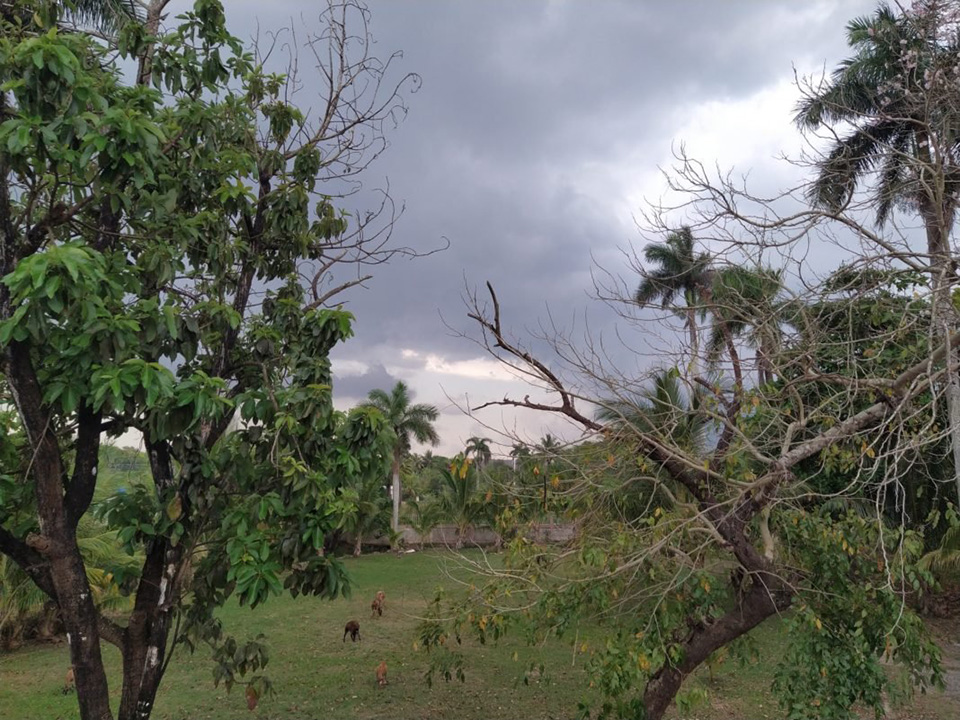 Sforum - Trang thông tin công nghệ mới nhất redmi-note-7-sample-2 Mời chiêm ngưỡng những hình ảnh được chụp từ Google Pixel 4a 