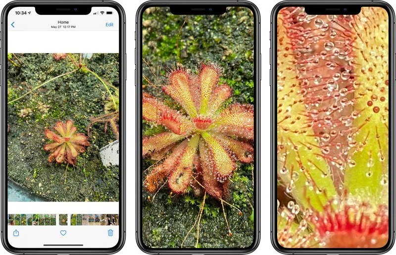 Sforum - Trang thông tin công nghệ mới nhất ios14zoomphotos Những tính năng camera Sforum - Trang thông tin công nghệ mới nhất ios14zoomphotos Những tính năng camera