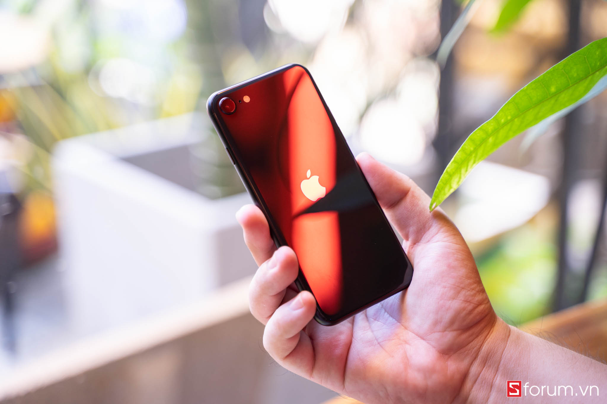 iPhone SE 2020 hay Android cận cao cấp?