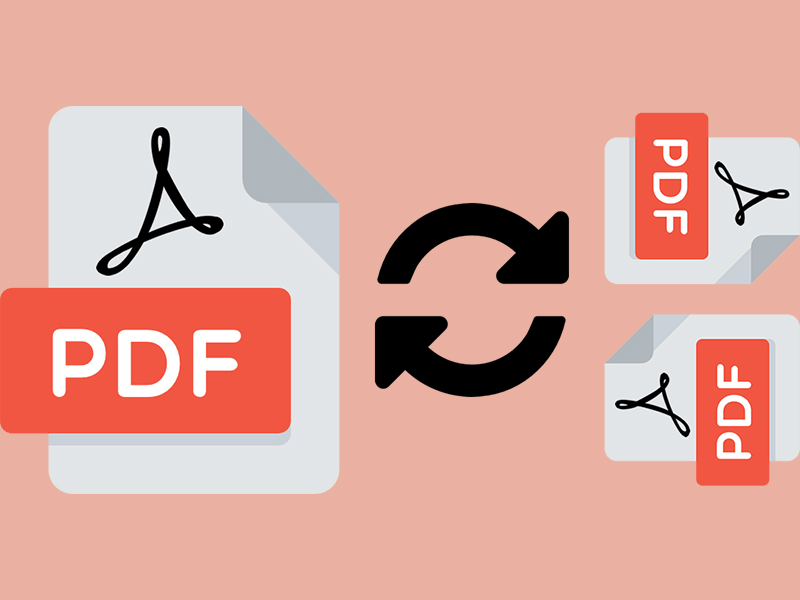 xoay file pdf