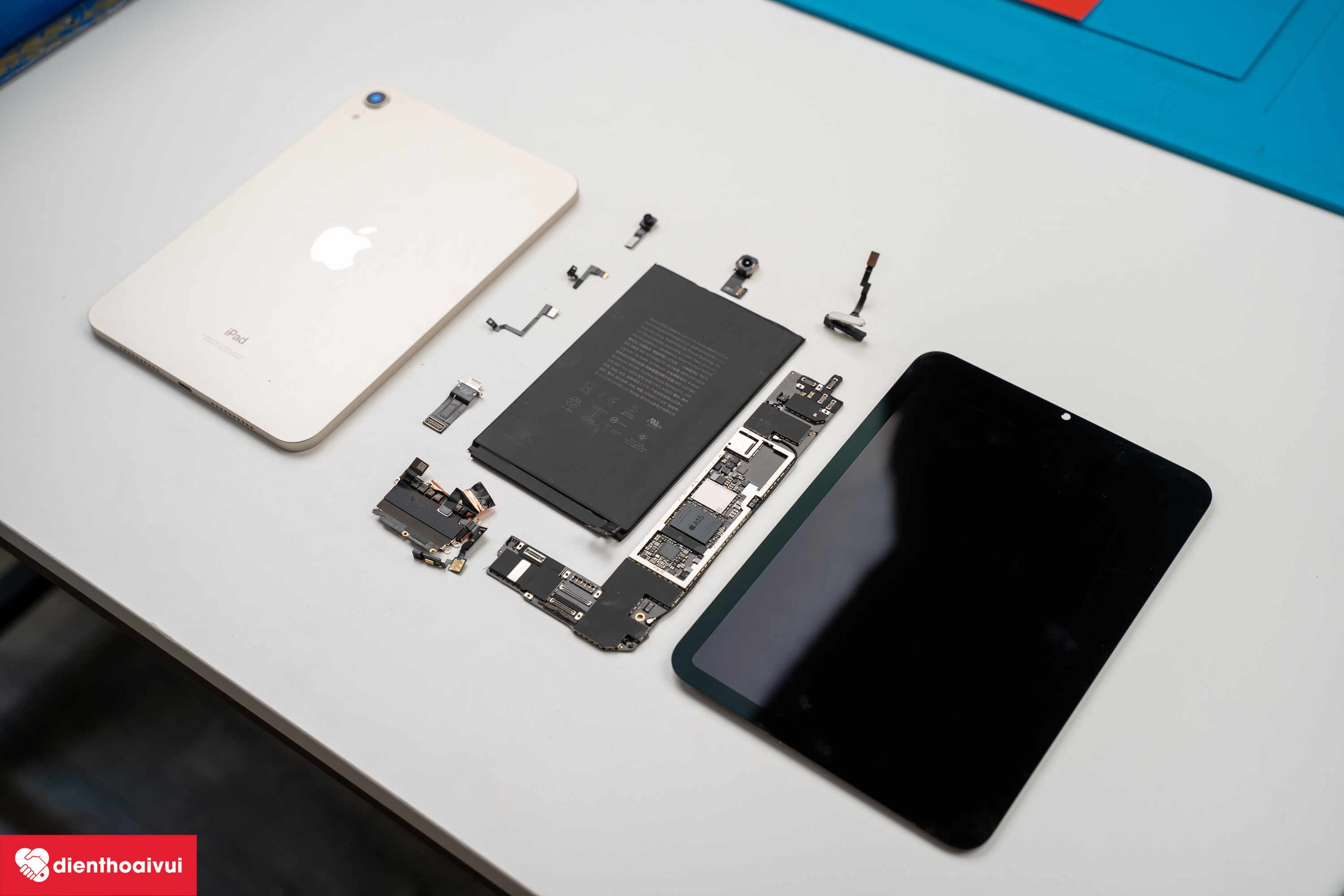 Tháo tung linh kiện iPhone 13 Pro/Pro Max và iPad mini 6 đầu tiên tại Việt Nam