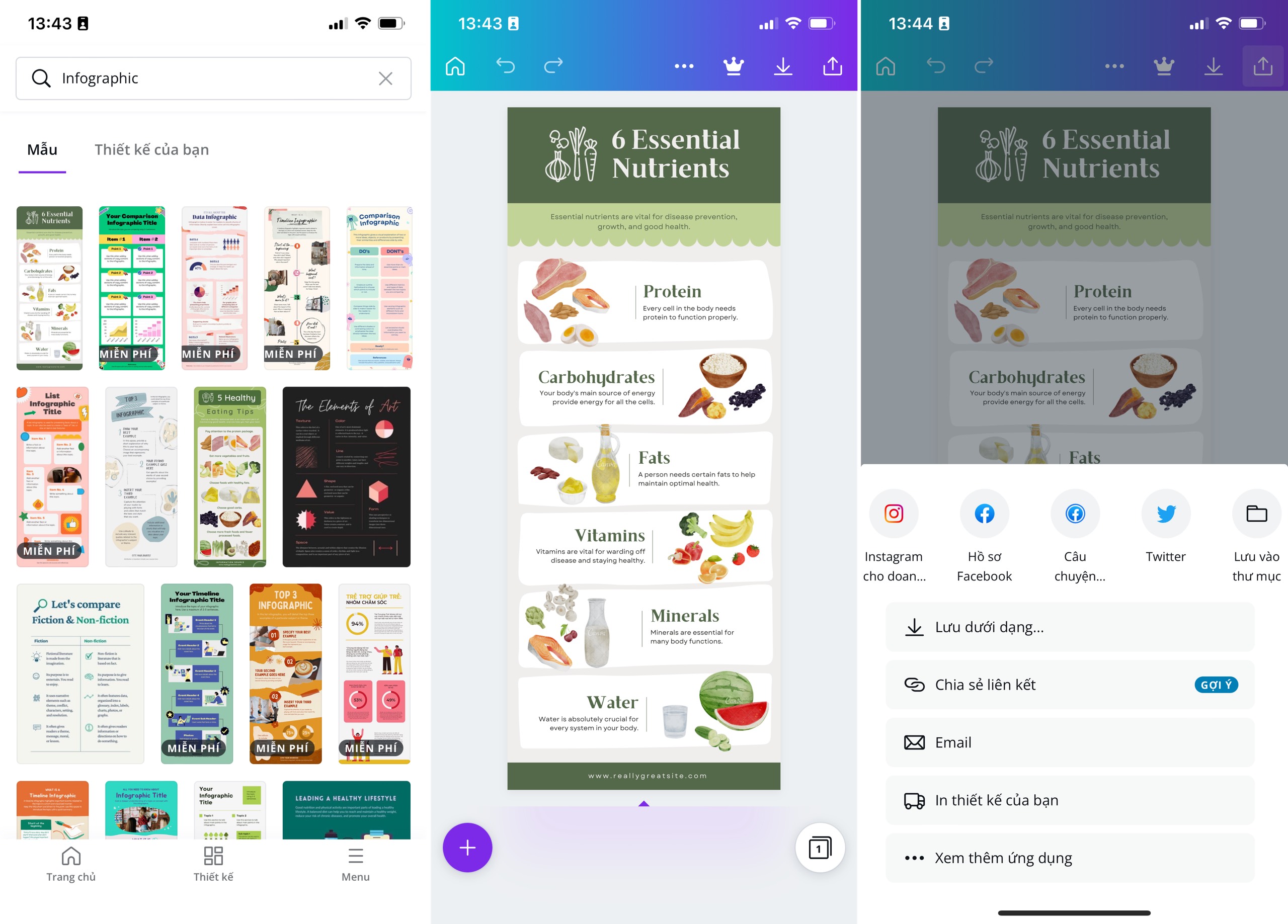 canva infographics