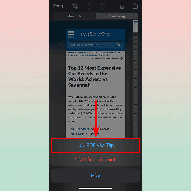Sforum - Trang thông tin công nghệ mới nhất Untitled-6-2 Cách lưu trang web dưới dạng PDF cực đơn giản trên iOS 