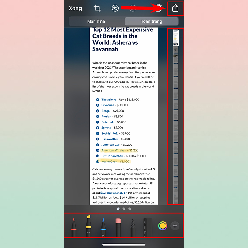 Sforum - Trang thông tin công nghệ mới nhất shaerrrr1 Cách lưu trang web dưới dạng PDF cực đơn giản trên iOS 