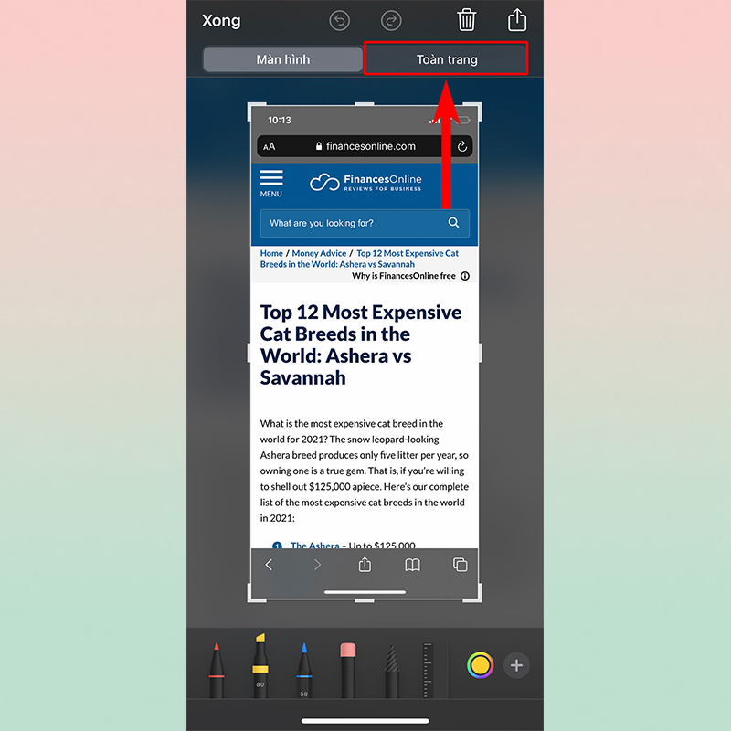 Sforum - Trang thông tin công nghệ mới nhất xemmm2 Cách lưu trang web dưới dạng PDF cực đơn giản trên iOS 