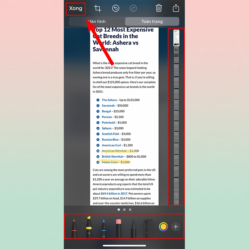 Sforum - Trang thông tin công nghệ mới nhất xongg123 Cách lưu trang web dưới dạng PDF cực đơn giản trên iOS 