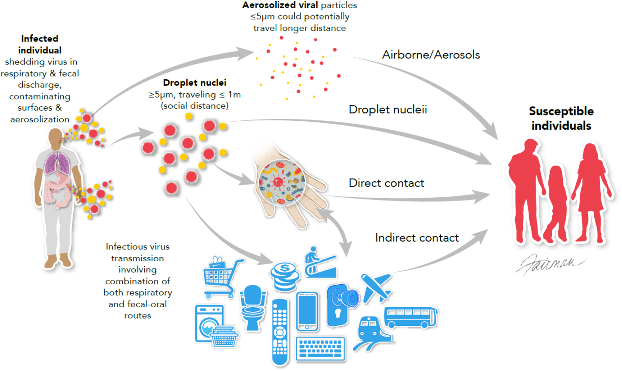SARS-CoV-2-transmission