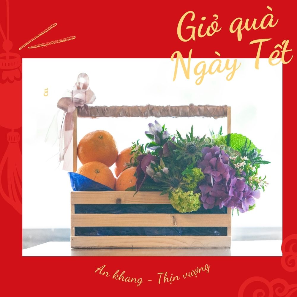 Giỏ quà tết hoa quả