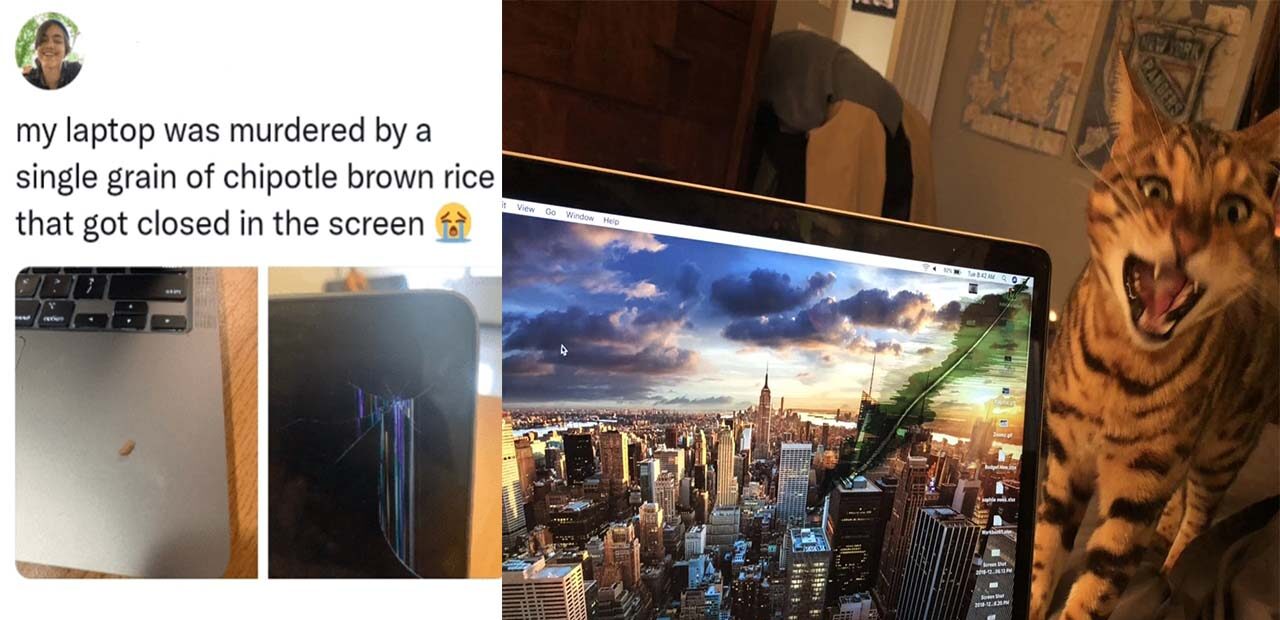 1001 lý do MacBook hư màn