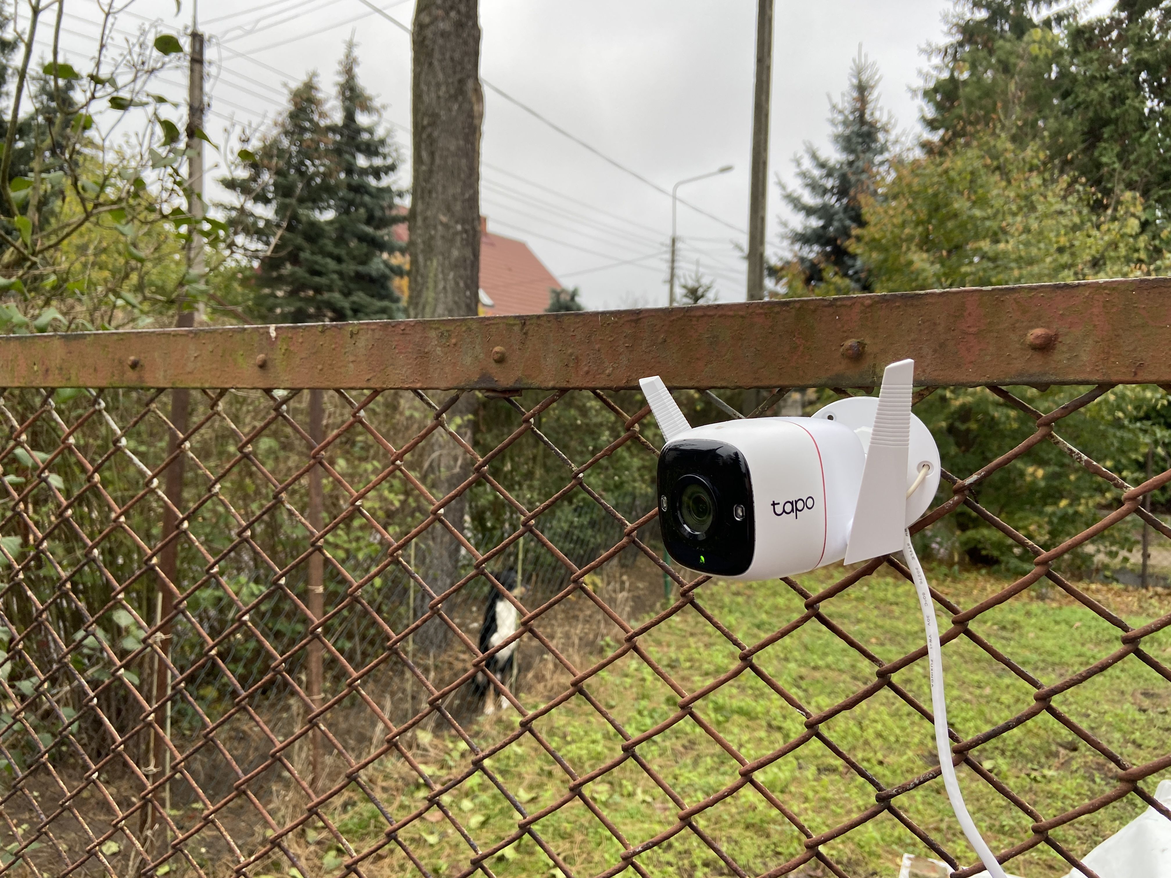 Camera IP Wifi TP-Link Tapo C310 3MP