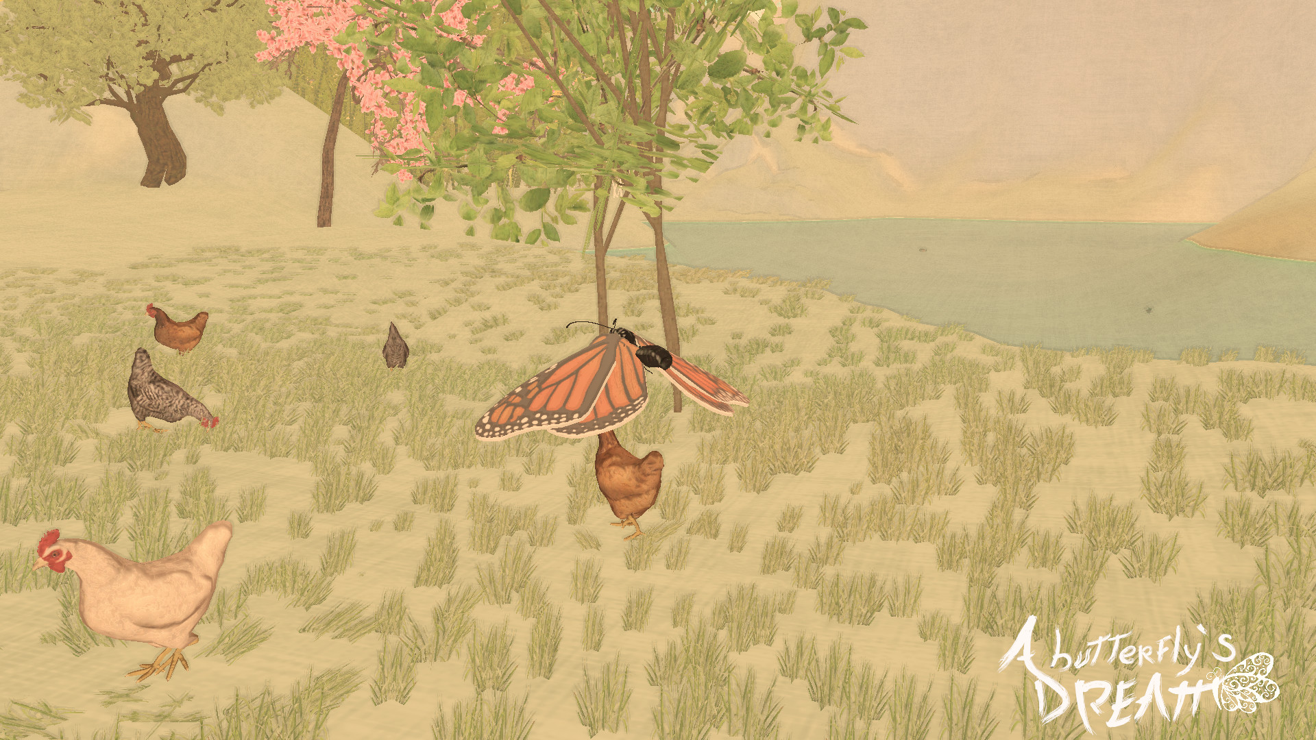 A Butterfly's Dream - Phiêu du qua những giấc mơ thiên nhiên tuyệt đẹp