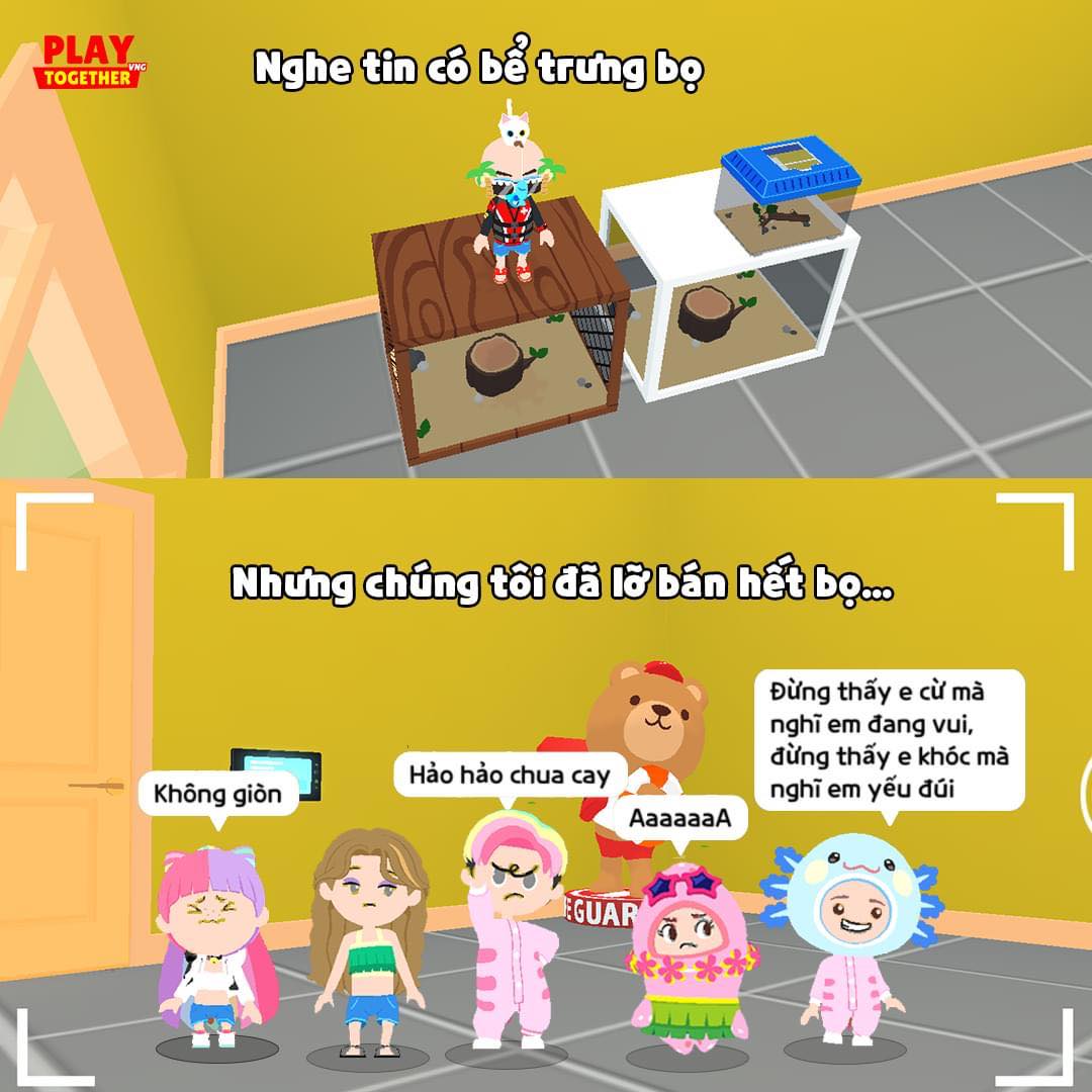 Play Together, Play Together VN, Play Together Game, Play Together PC, Game Mobile 