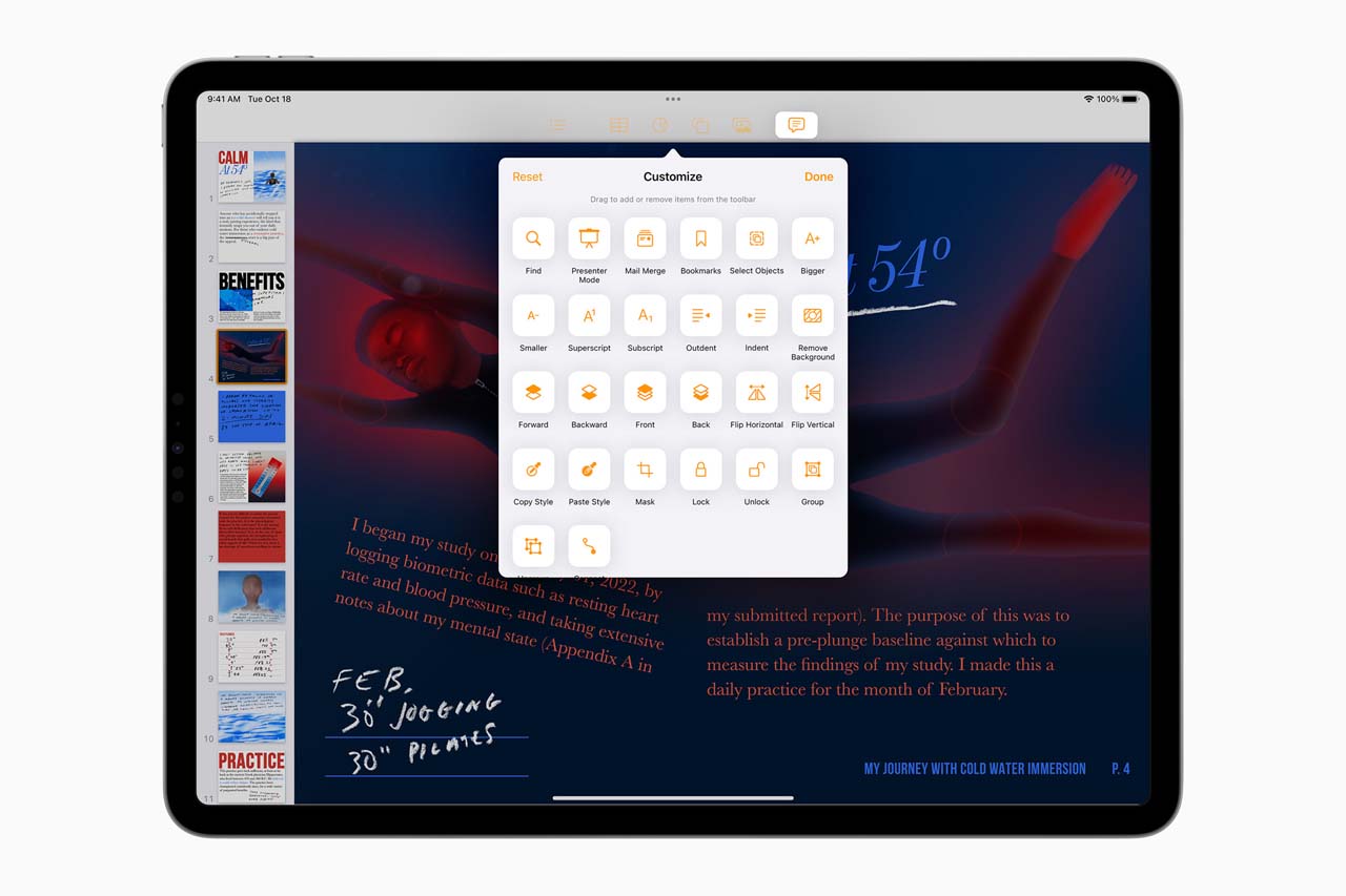 iPad Pro