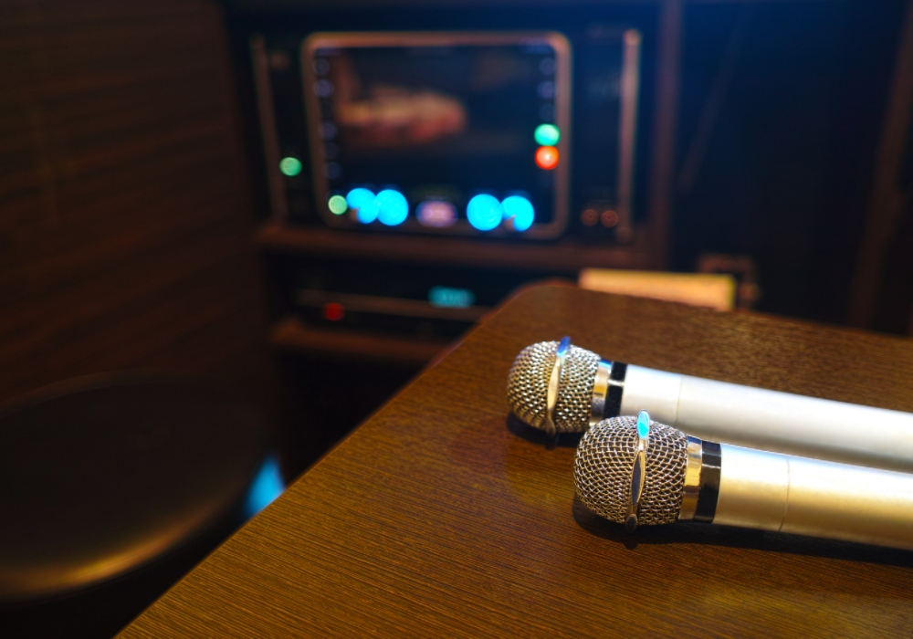 Một số tiêu chí chọn mua dàn loa karaoke gia đình - Ảnh 2