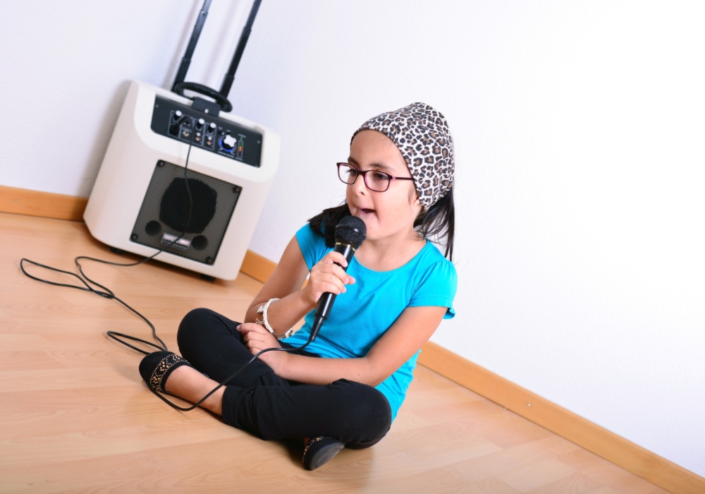 Một số tiêu chí chọn mua dàn loa karaoke gia đình - Ảnh 4