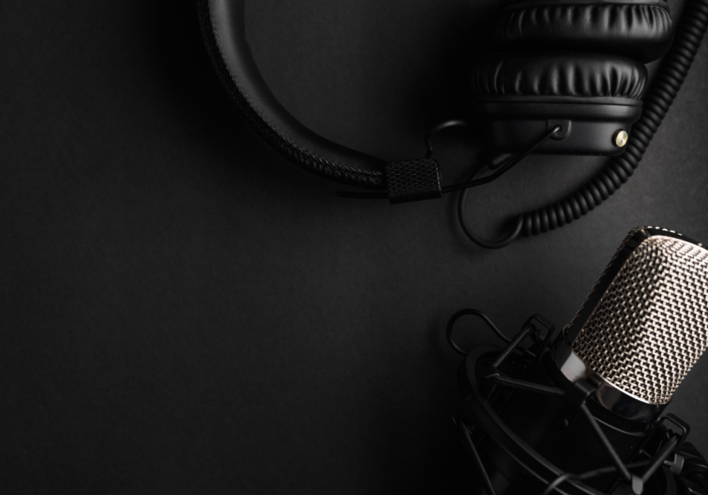 Tiêu chí mua micro karaoke - Ảnh 1