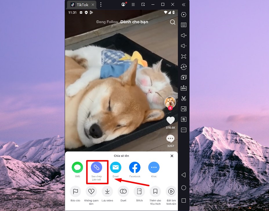 Cách tải video TikTok không có ID trên PC 1