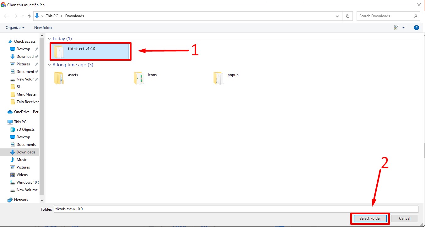 Cách tải Tik Tok bằng Extension 4