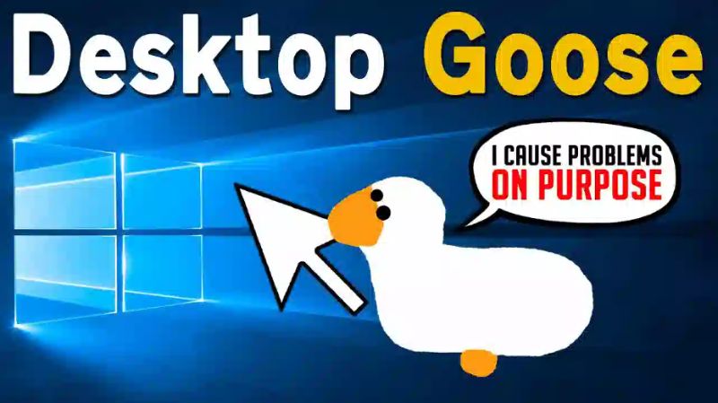 Desktop Goose là gì