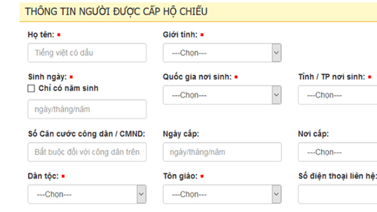 Điền thông tin để làm hộ chiếu online