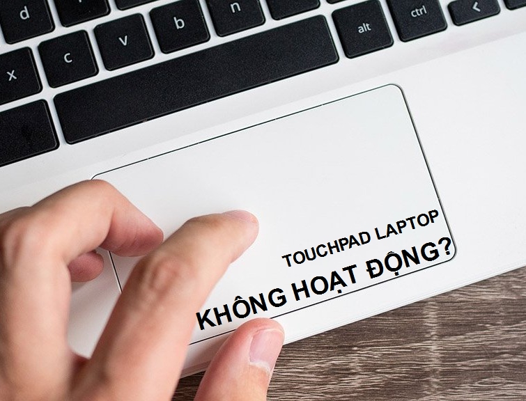 touchpad bị đơ