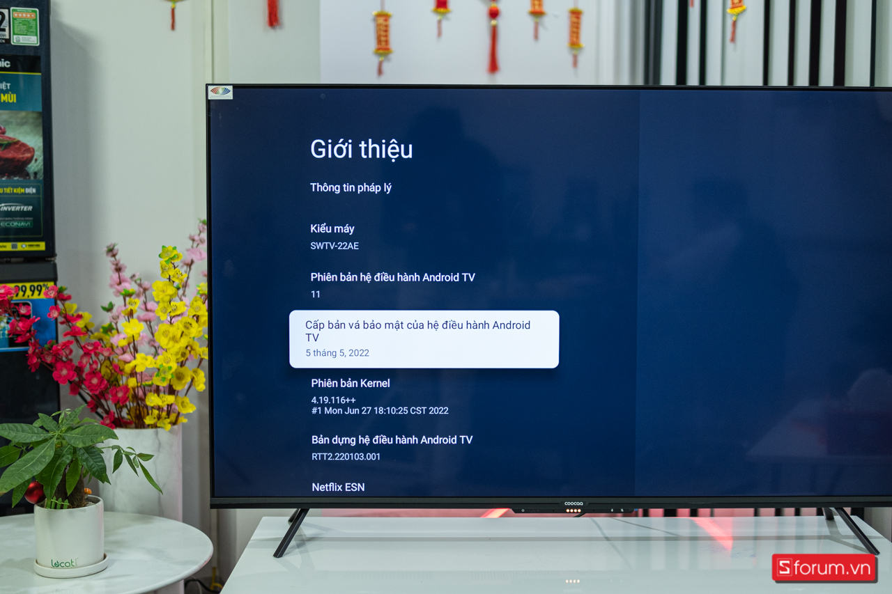 Coocaa, Google Tivi Coocaa 55Y72