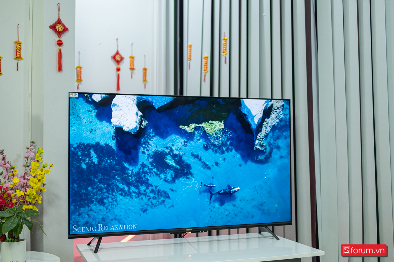 Coocaa, Google Tivi Coocaa 55Y72