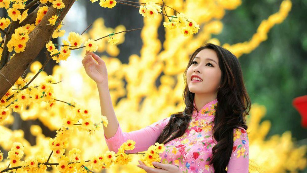 Sắp xếp bố cục khung hình phù hợp