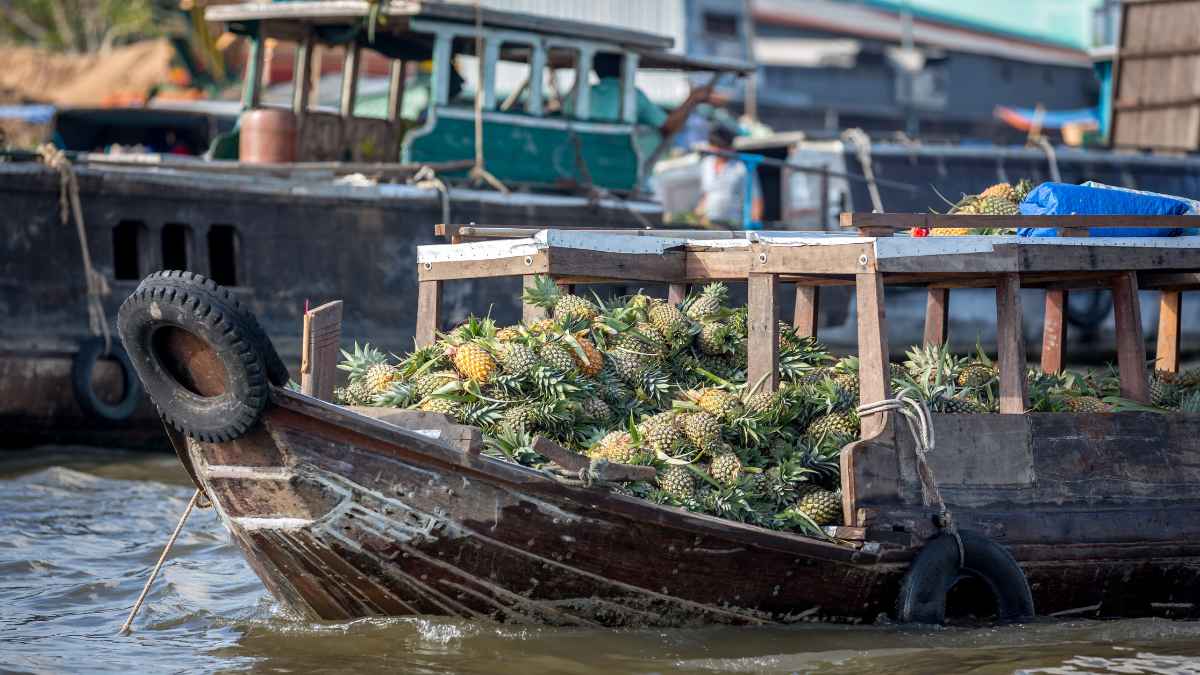 Tour du lịch Tết Cần Thơ