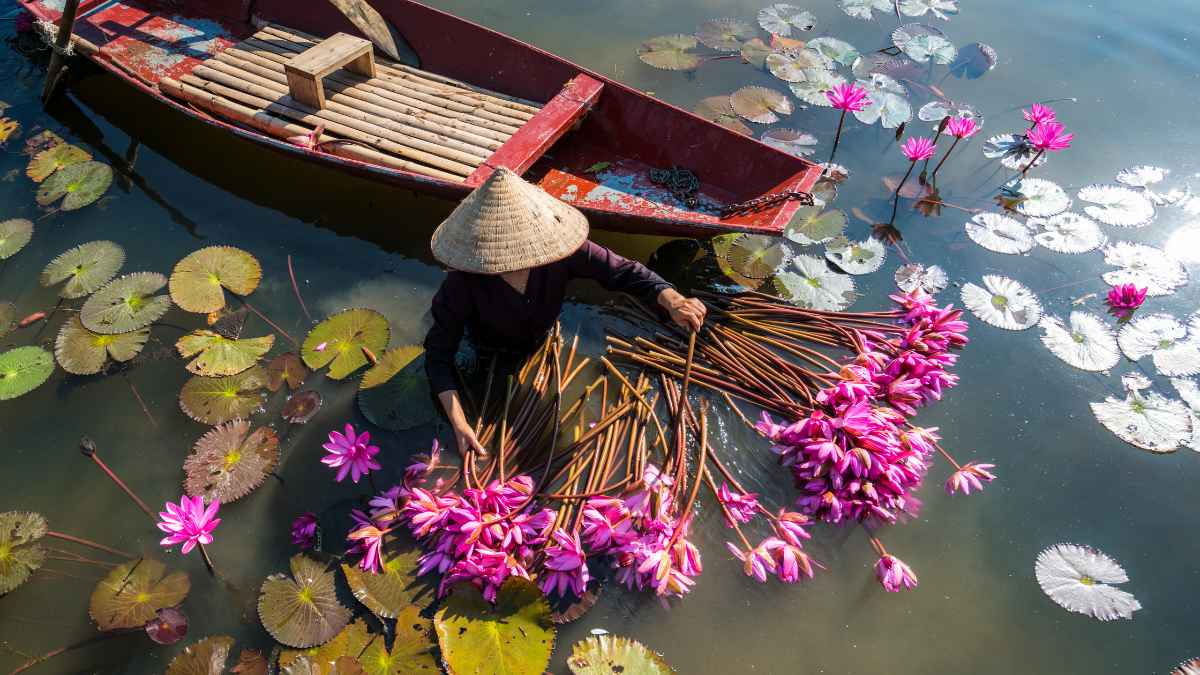 Bí quyết săn tour du lịch giá rẻ.
