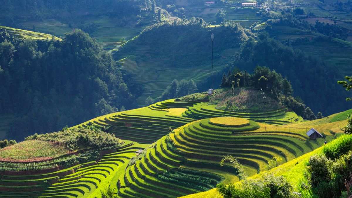 Tour du lịch tết nguyên đán 2023 giá rẻ