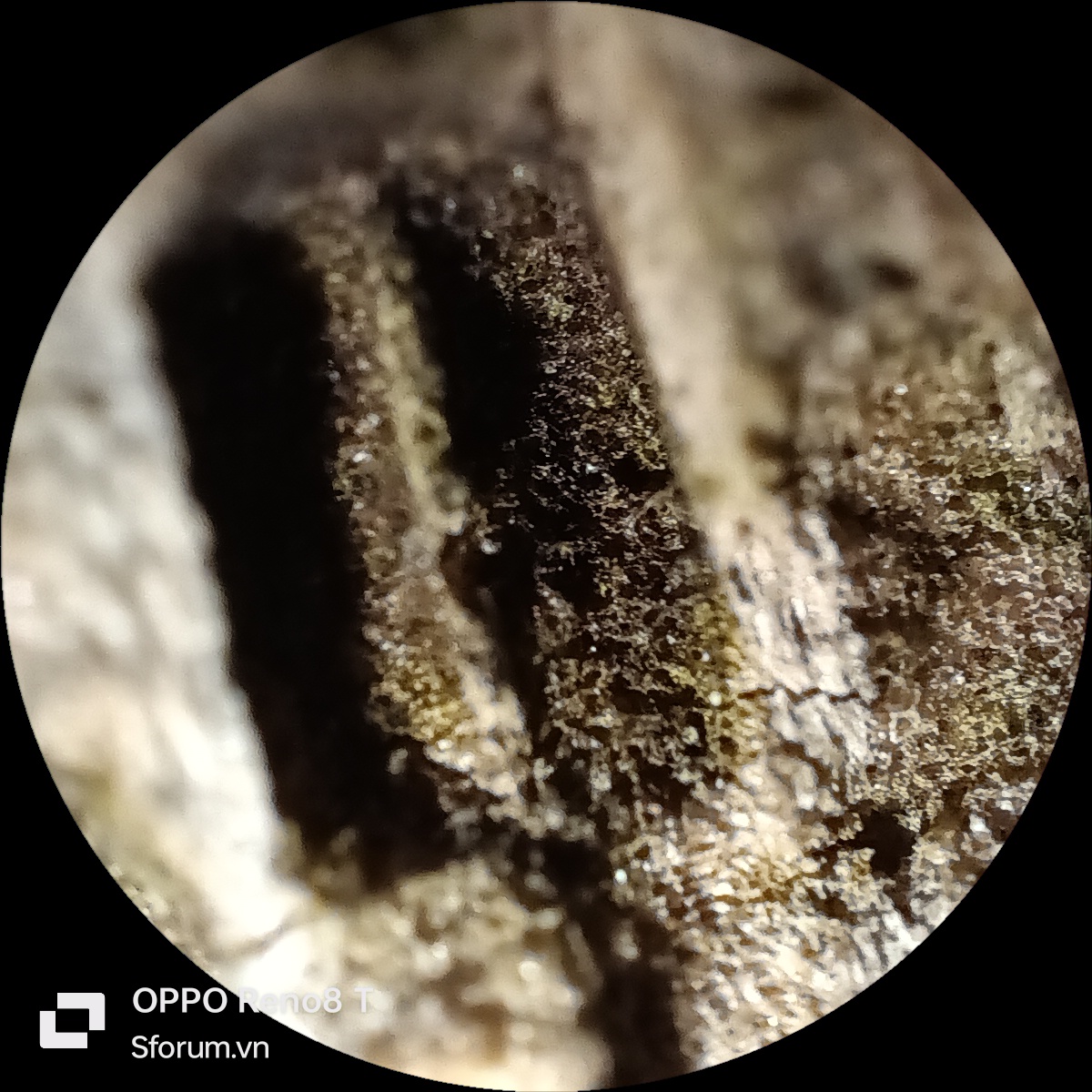 OPPO Reno8 T 4G