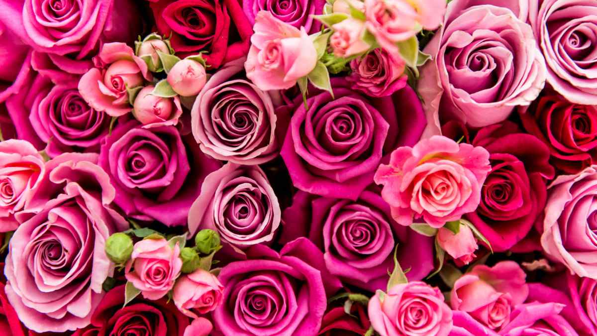 Ngày lễ Valentine