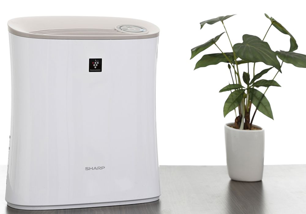 Máy lọc không khí ion âm là gì? - Ảnh 1 