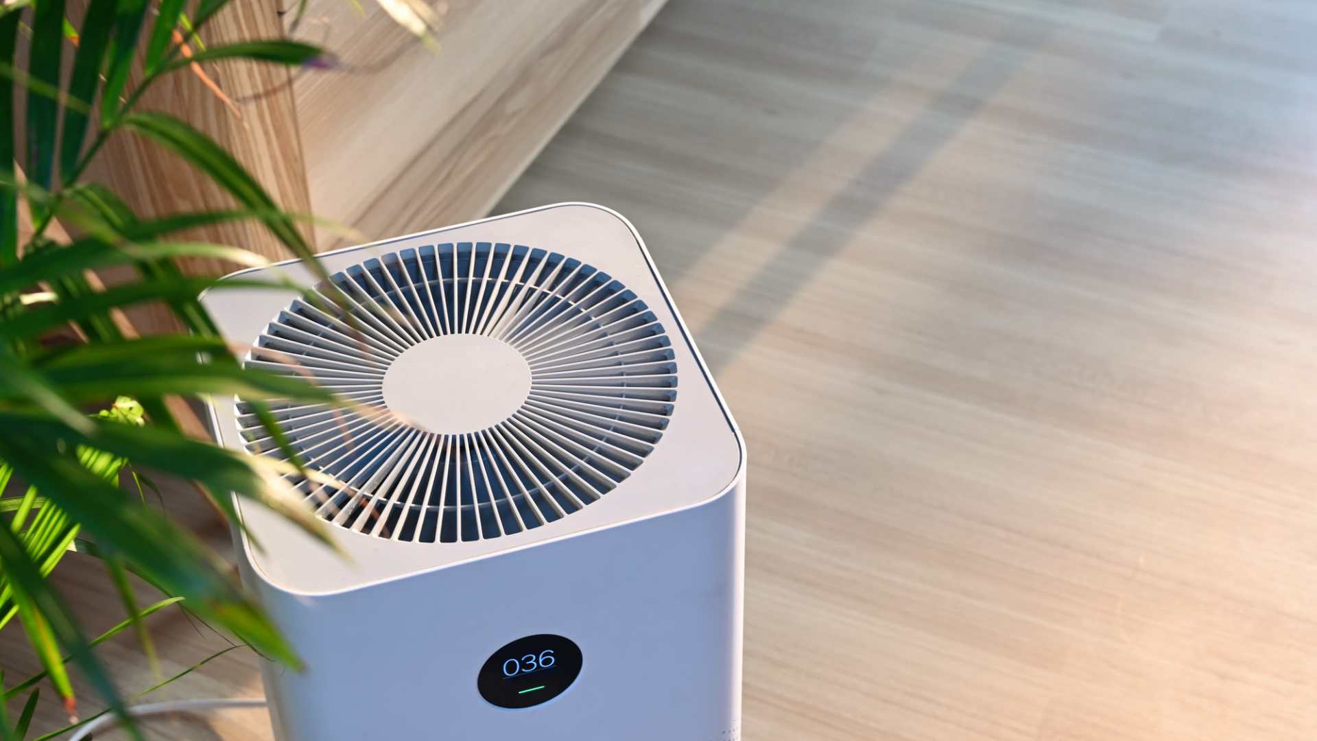 Tham khảo ngay top máy lọc không khí khử mùi mà bạn nên sở hữu