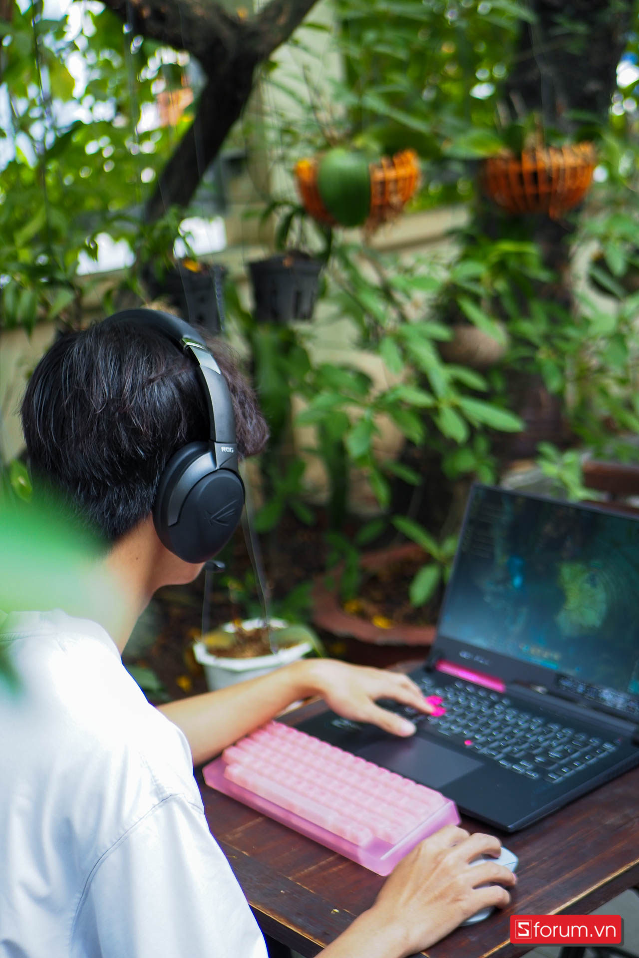 Asus Rog Strix Go 2.4