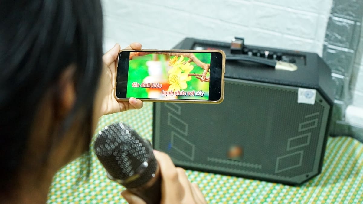 Loa kéo không kết nối với Micro