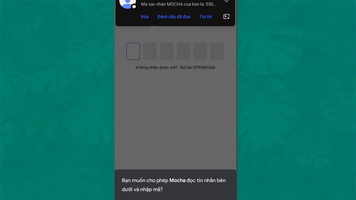 Hướng dẫn cách đăng ký Mocha bước 3
