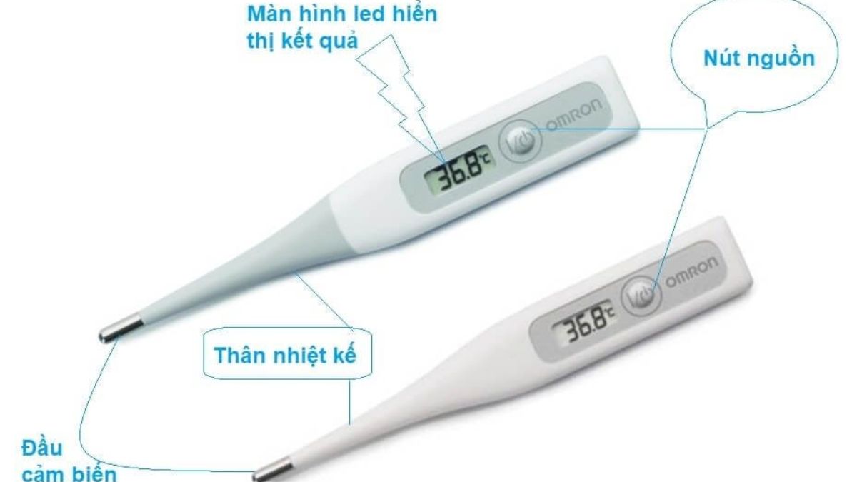 Cấu tạo của nhiệt kế điện tử